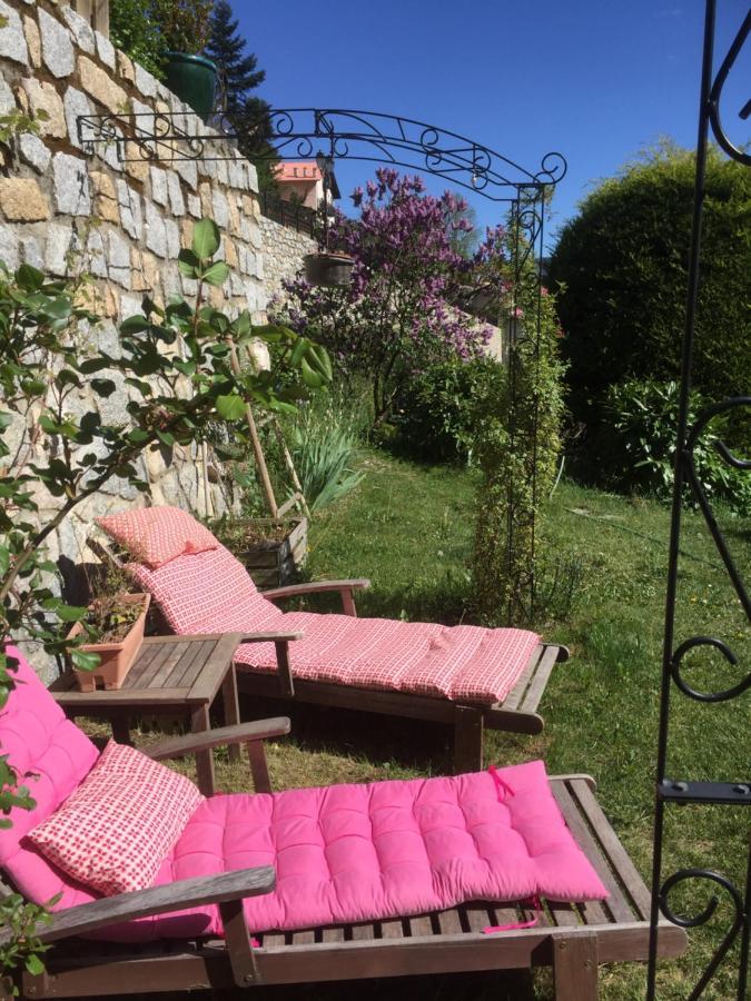 Rez De Jardin De Chalet Bois , Calme Et Verdure ! Saint-Martin-Vésubie Esterno foto